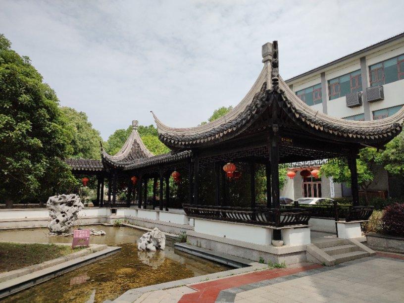 一抹“橄榄绿” 温暖归乡路